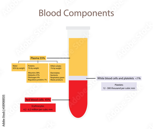 illustration of biology and medical, Blood components medical, Hematocrit Blood analysis conducted in the glass test tube using centrifugation, glass tube with centrifuged blood