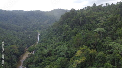 Aerial view of tropical mountains. The slope of the mountain covered with tropical rainforest and a small mountain river at the bottom of the gorge. Tropical mountain landscape.