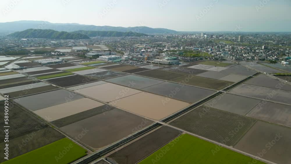 福井市 田んぼ 水田 田植え 農業 ドローン 空撮 4K 田植え 田園風景
