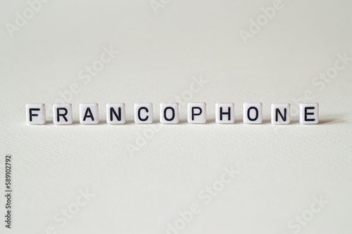 Francophone - word concept on cubes photo