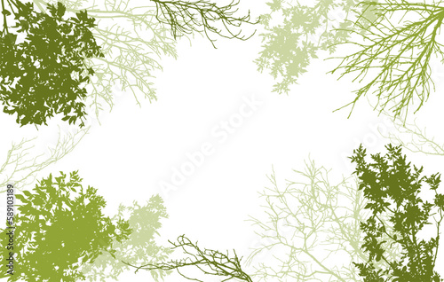 Deciduous and bare branches of trees silhouette, background. Vector illustration