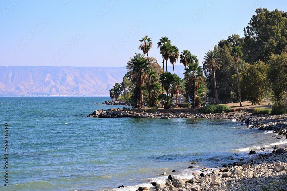 Obraz premium Scenic aerial view of green tropical trees on the shore of Kineret lake in Tiberias, Israel