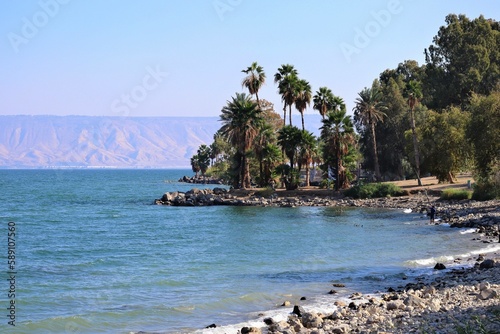 Fototapeta Naklejka Na Ścianę i Meble -  Scenic aerial view of green tropical trees on the shore of Kineret lake in Tiberias, Israel