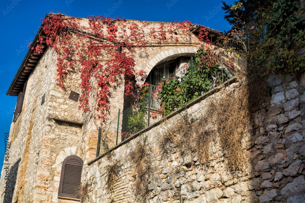 trevi, italien - altes steinhaus mit mauer und efeu