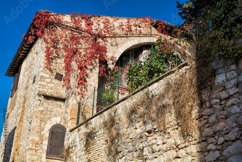 Obraz na płótnie trevi, italien - altes steinhaus mit mauer und efeu w salonie