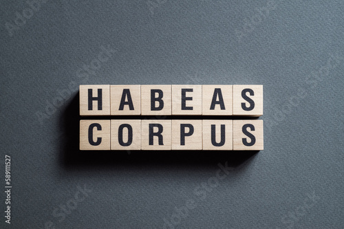 Habeas corpus - word concept on cubes