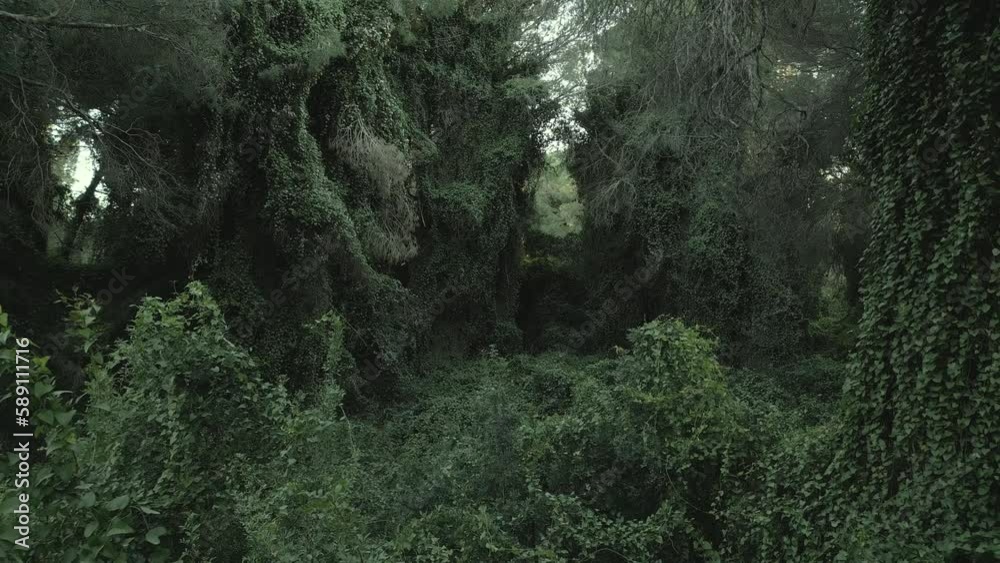 Vista DRONE del bosque de la Dehesa del Saler, Valencia, España, 2 de abril de 2023.
