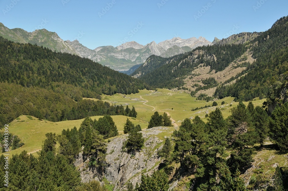 Fototapeta premium Natural view of green forest and mountain landscape in the countryside