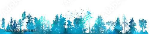 Vector misty forest landscape with detailed blue silhouettes of coniferous trees .