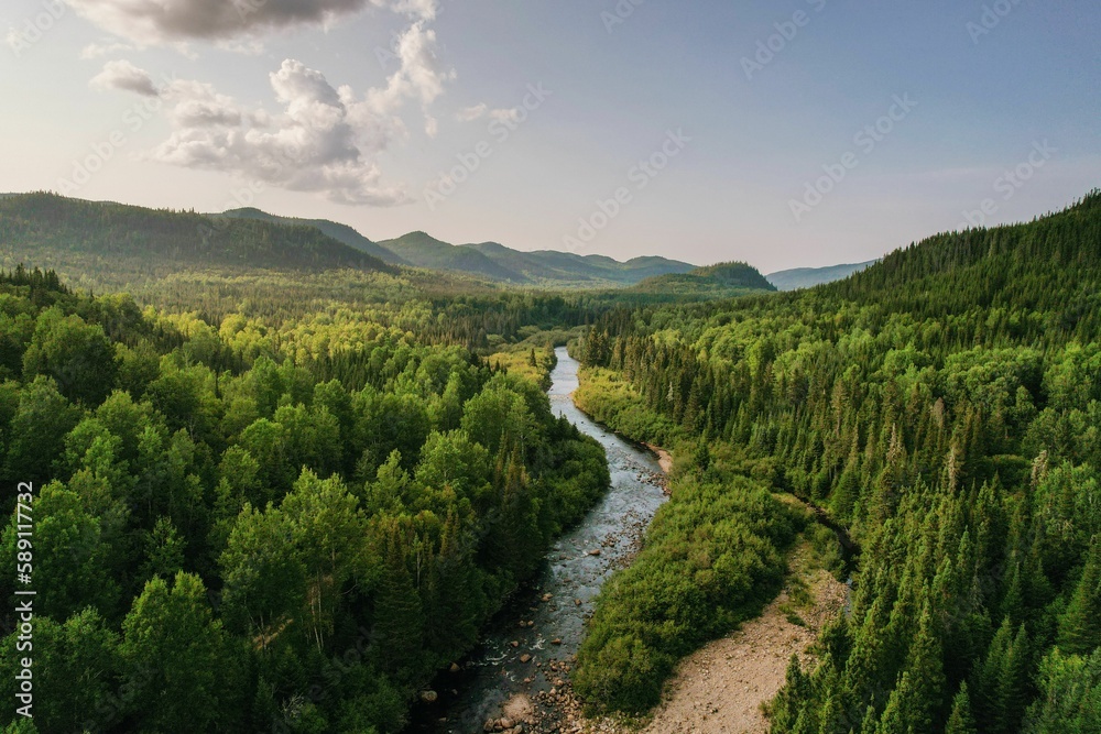 Naklejka premium Narrow river between trees and greenery with mountain in the background under cloudy sky