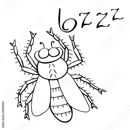 Vector black outline fly in doodle sketch style. Top view. Black and white drawing insect. Clipart, design element on theme of nature, spring, summer, isolated
