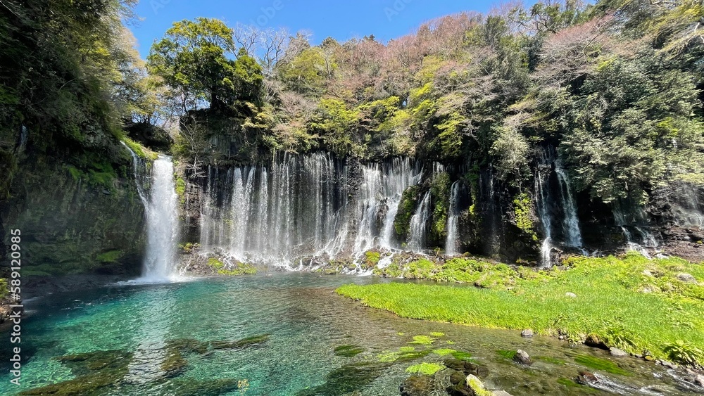 白糸の滝 白糸の滝