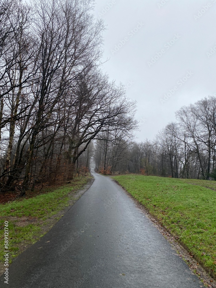 Fototapeta premium Teutoburger Wald - Rund um Augustdorf