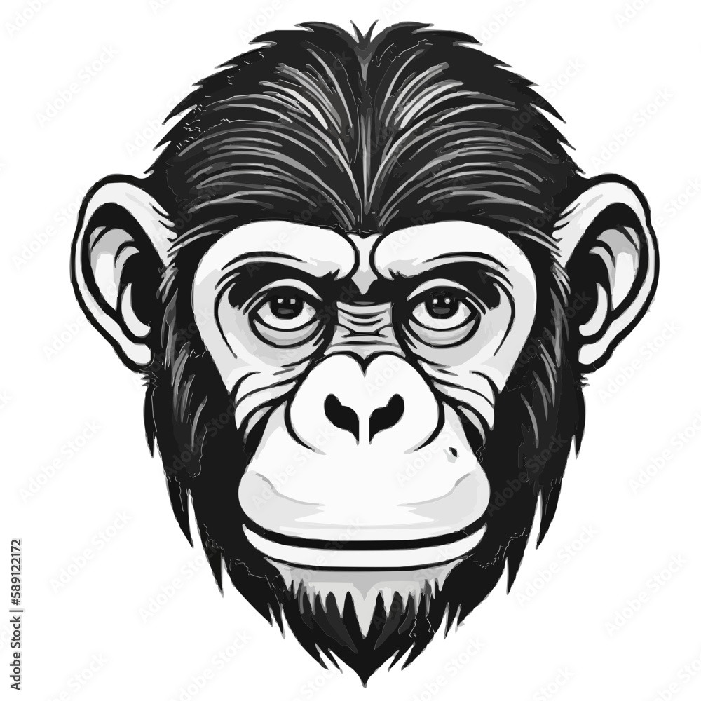 Chimpanzee vector