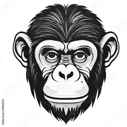 Chimpanzee vector