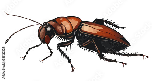 Cockroach insect vector