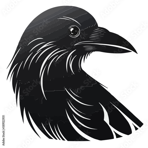 Crow vector