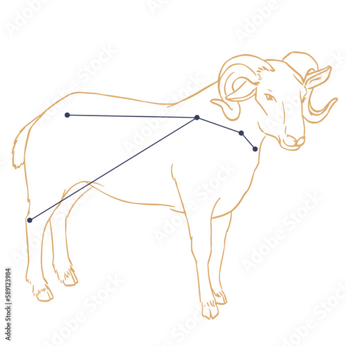 Constellation Bélier