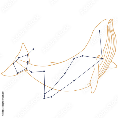 Constellation Baleine