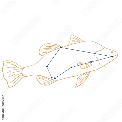Constellation Poisson Austral