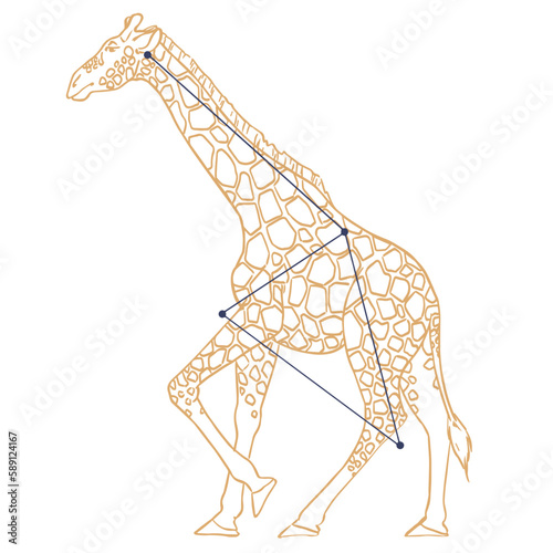 Constellation Girafe