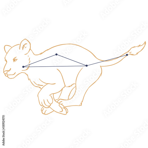 Constellation Petit Lion