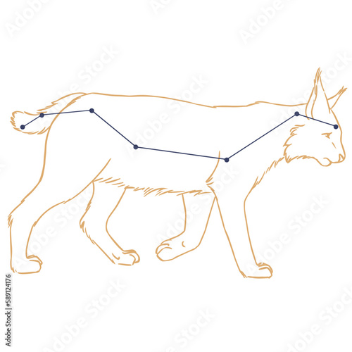 Constellation Lynx
