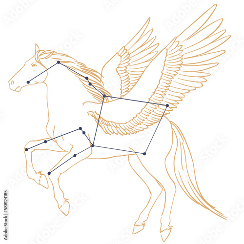 Constellation Pégase