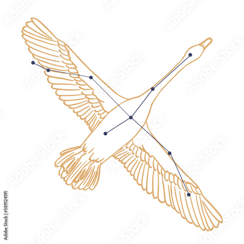 Constellation Cygne