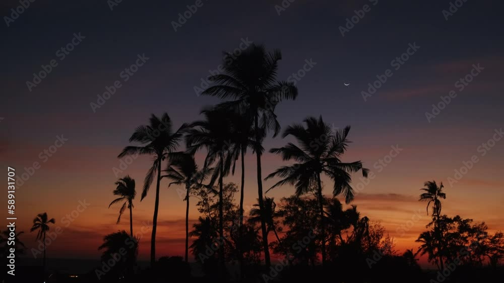Silhouettes of palm trees against beautiful night sky. Palm trees sway in the wind. Picturesque tropical landscape at sunset. Silhouettes of palm trees against beautiful night sky. Palm trees sway in the wind. Picturesque tropical landscape at sunset.