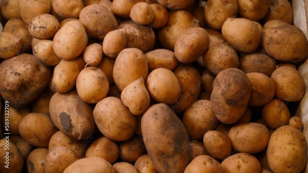 Full box of white potatoes, top view. Smooth slow motion camera Full box of white potatoes, top view. Smooth slow motion camera