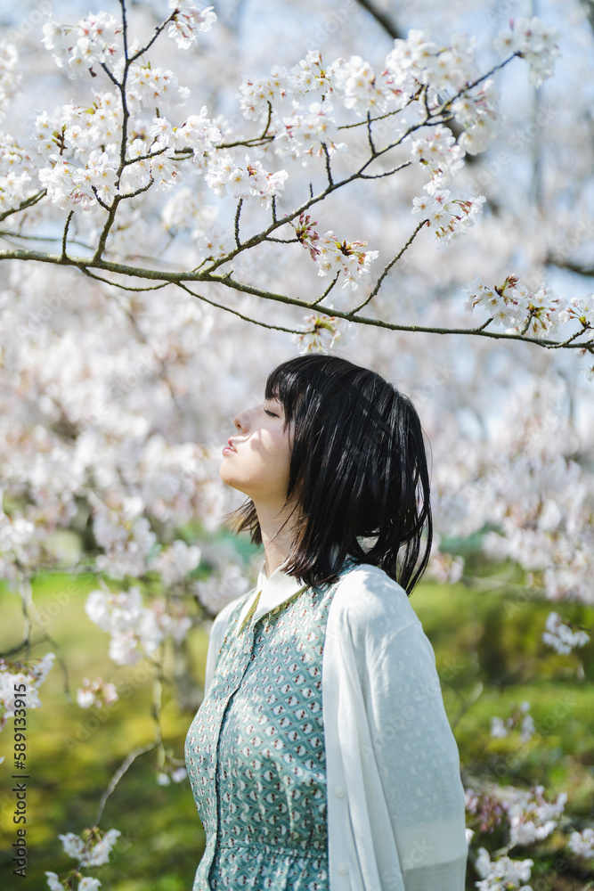 桜の木の下にいる女性 桜の木の下にいる女性
