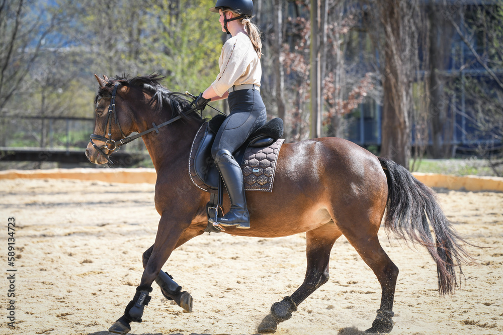 Reiten Reiten