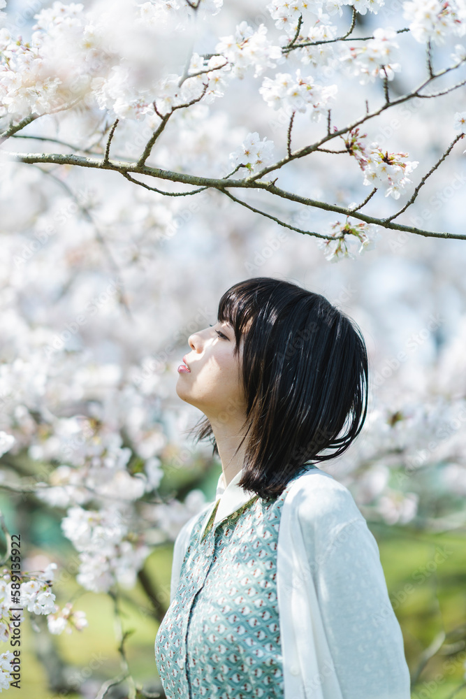 Naklejka premium 桜の木の下にいる女性