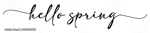 Hello Spring - lettering vector isolated on white background