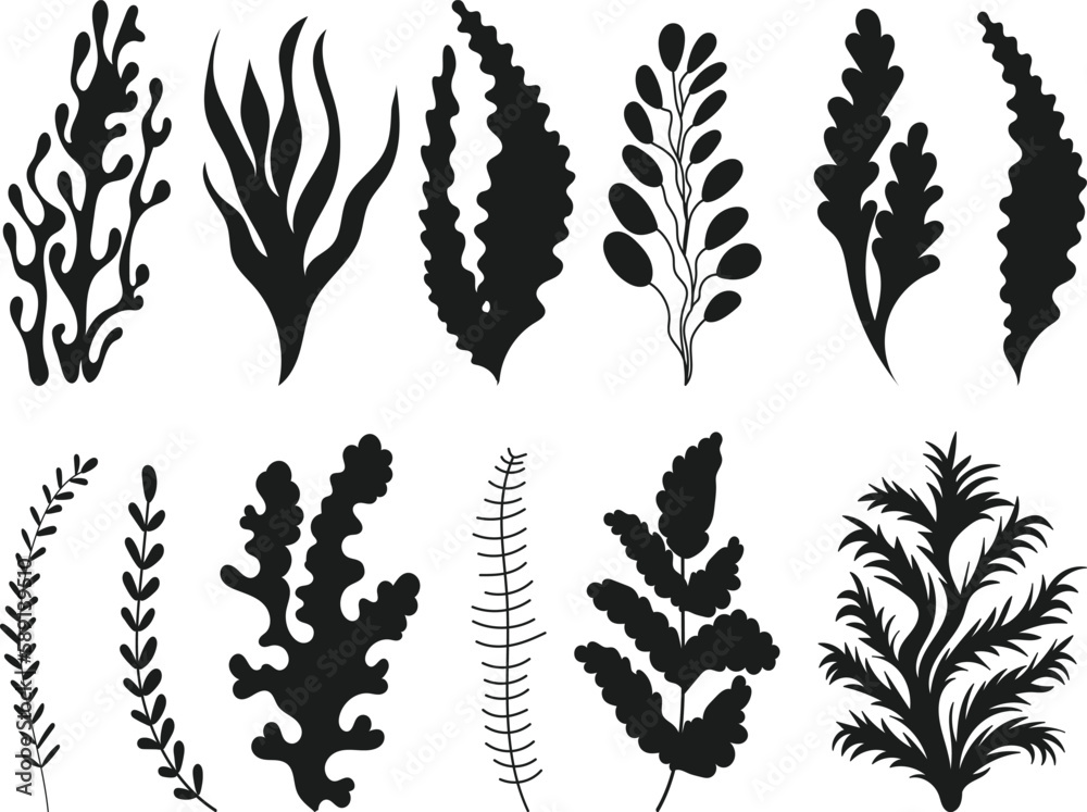set of seaweed silhouette on white background, vector set of seaweed silhouette on white background, vector