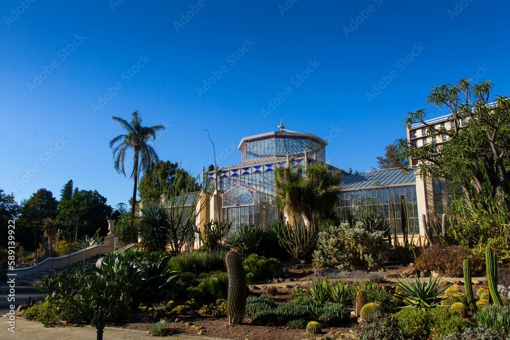 Naklejka premium Glass house in the Adelaide Botanic garden