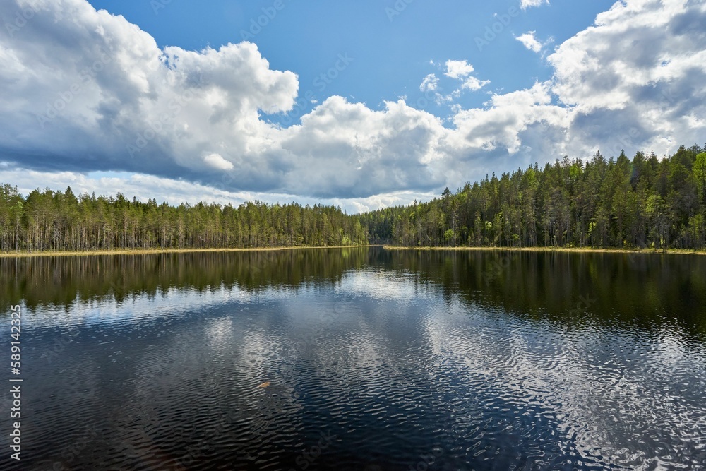 Image of a lake surrounded by green and high trees with reflections on the water