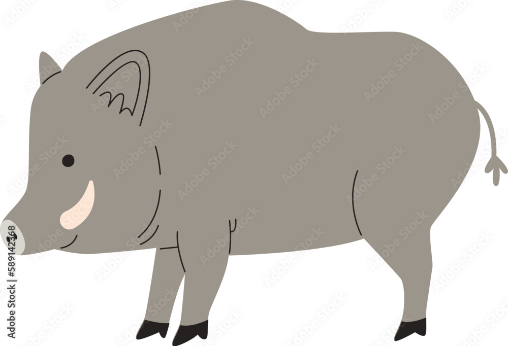 Obraz premium Wild Boar Standing