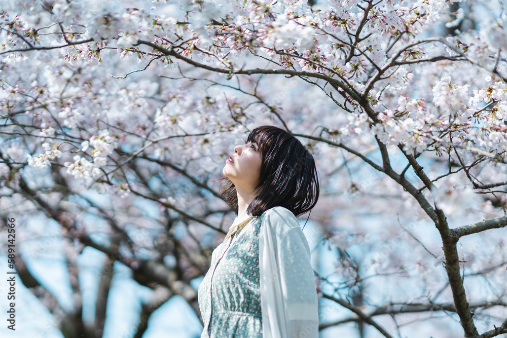 桜の木の下にいる女性 桜の木の下にいる女性