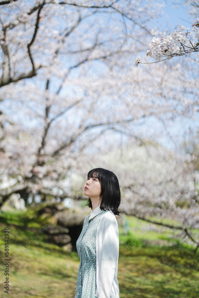 桜の花を見るショートヘアの女性 桜の花を見るショートヘアの女性