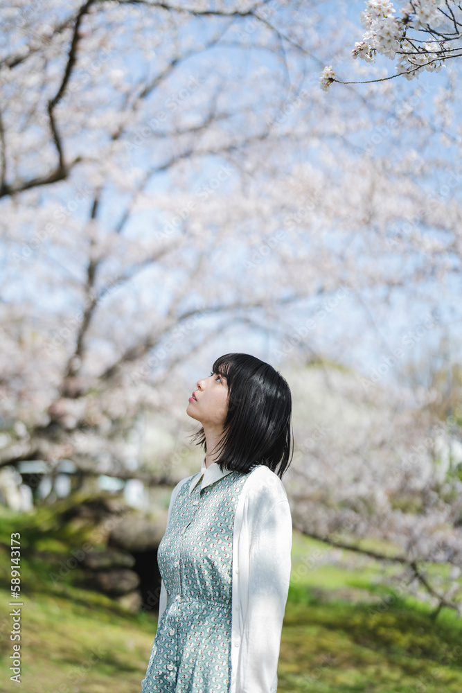 桜の花を見るショートヘアの女性 桜の花を見るショートヘアの女性