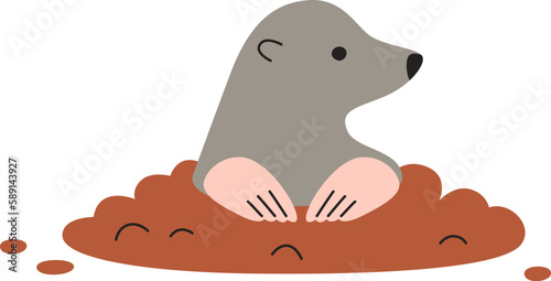 Mole Animal In Soil Ground