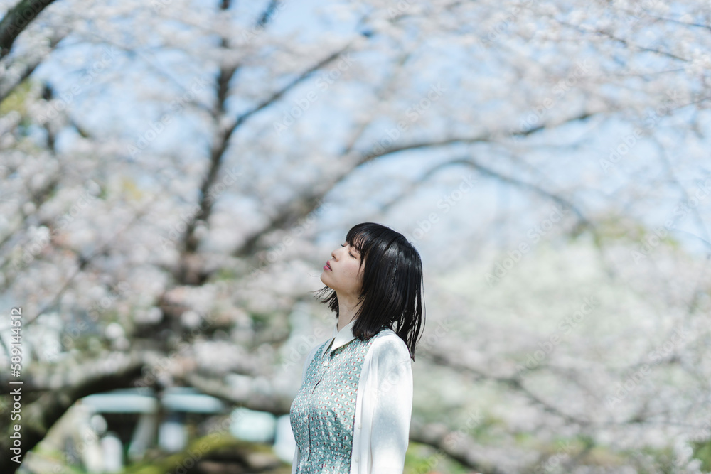 桜の花を見るショートヘアの女性 桜の花を見るショートヘアの女性