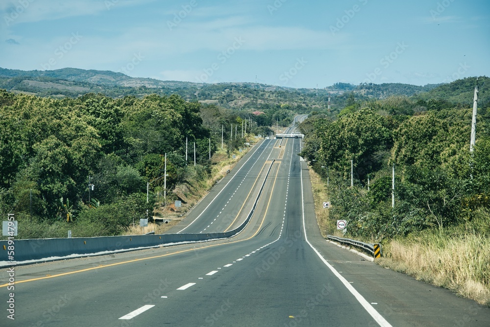 Beautiful shot of highways between forests during a daytime Beautiful shot of highways between forests during a daytime