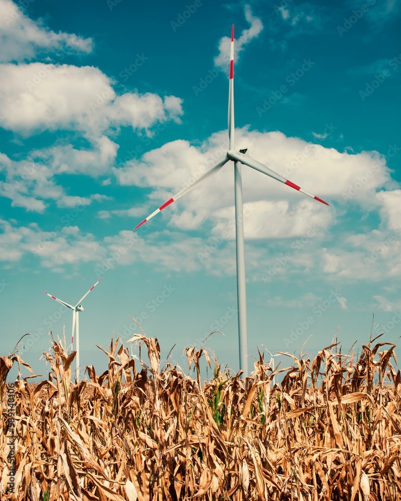 Vertical shot of a modern windmill in a wheat field on a sunny day Vertical shot of a modern windmill in a wheat field on a sunny day