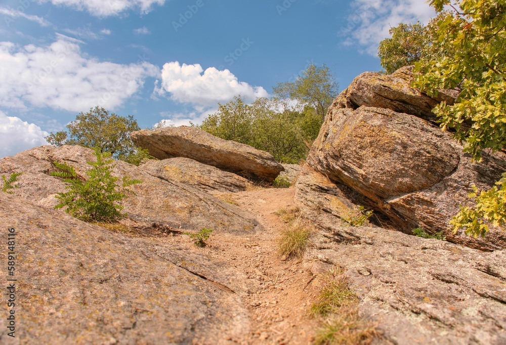 Scenic view of a rocky slope of a hill covered with green trees on a sunny day