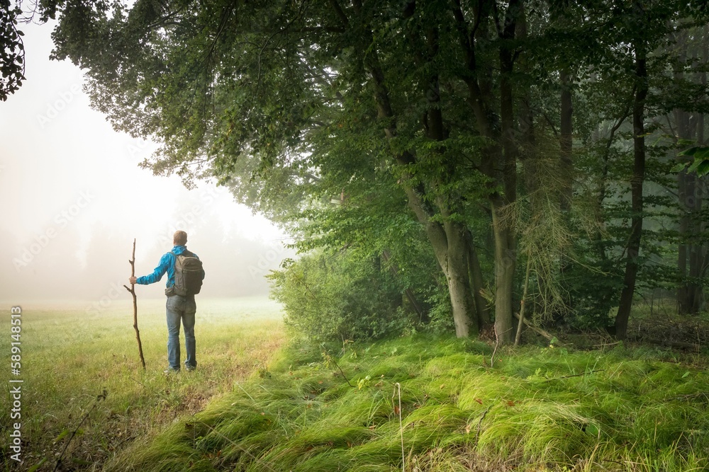 Hiker with a stick in the foggy forest. Hiker with a stick in the foggy forest.