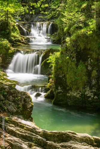 Vertical shot of a cascading waterfall in the forest.