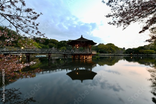 奈良の桜の浮見堂